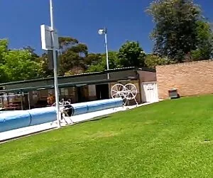 好奇奎恩是欺骗她的朋友黑色最好的朋友。 免费的代词管