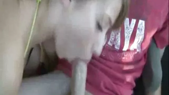 巨大的阿拉伯毛茸茸的 阳光明媚的利昂蓝色的电影